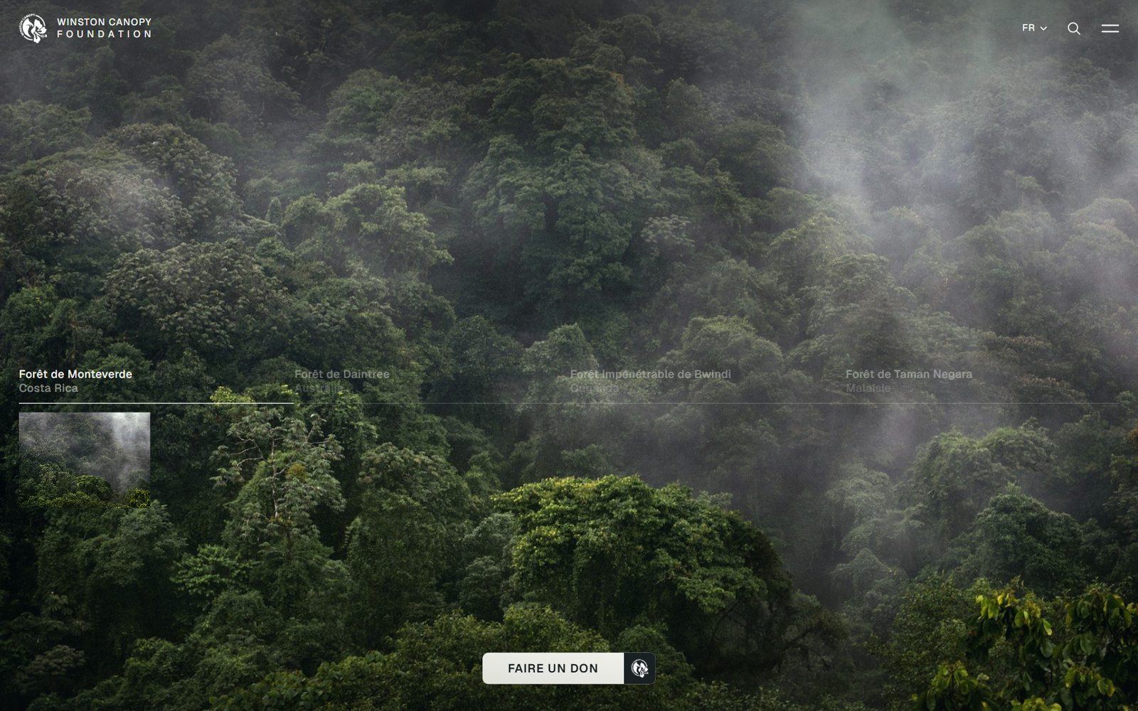 Homepagina van de website van de Winston Canopy Foundation: de vier bosreservaten