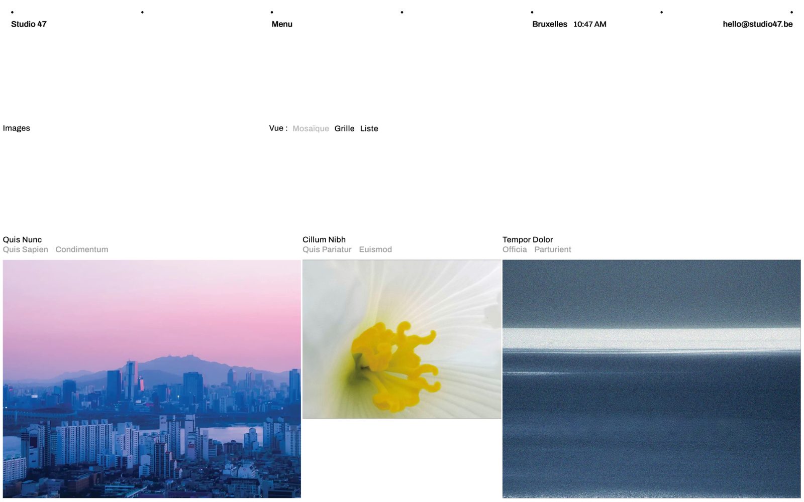 Fotografiepagina van de website van Studio 47: drie reeksen in mozaïekweergave