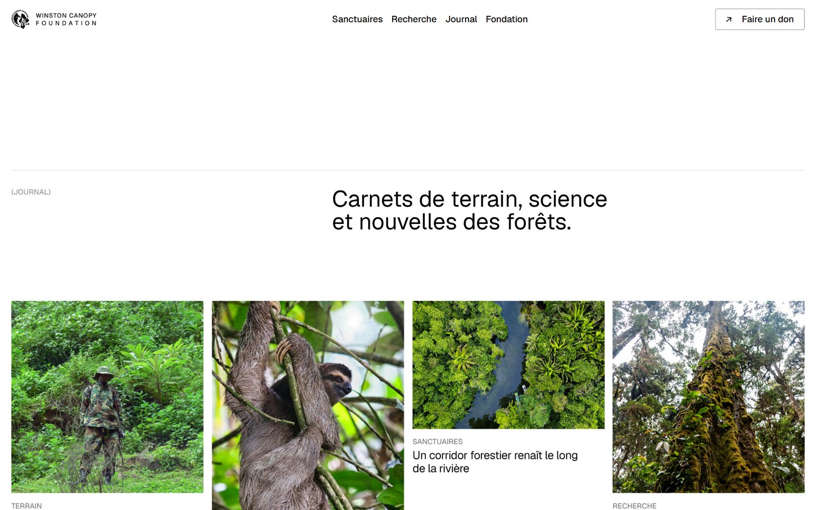 Journaalpagina van de website van de Winston Canopy Foundation: kronieken uit de reservaten, missies in de boomkruinen en onderzoeksnotities