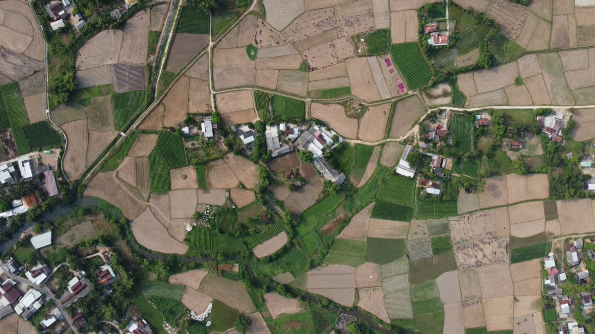 Vue aérienne d’une mosaïque de parcelles agricoles vertes et brunes autour de maisons de village