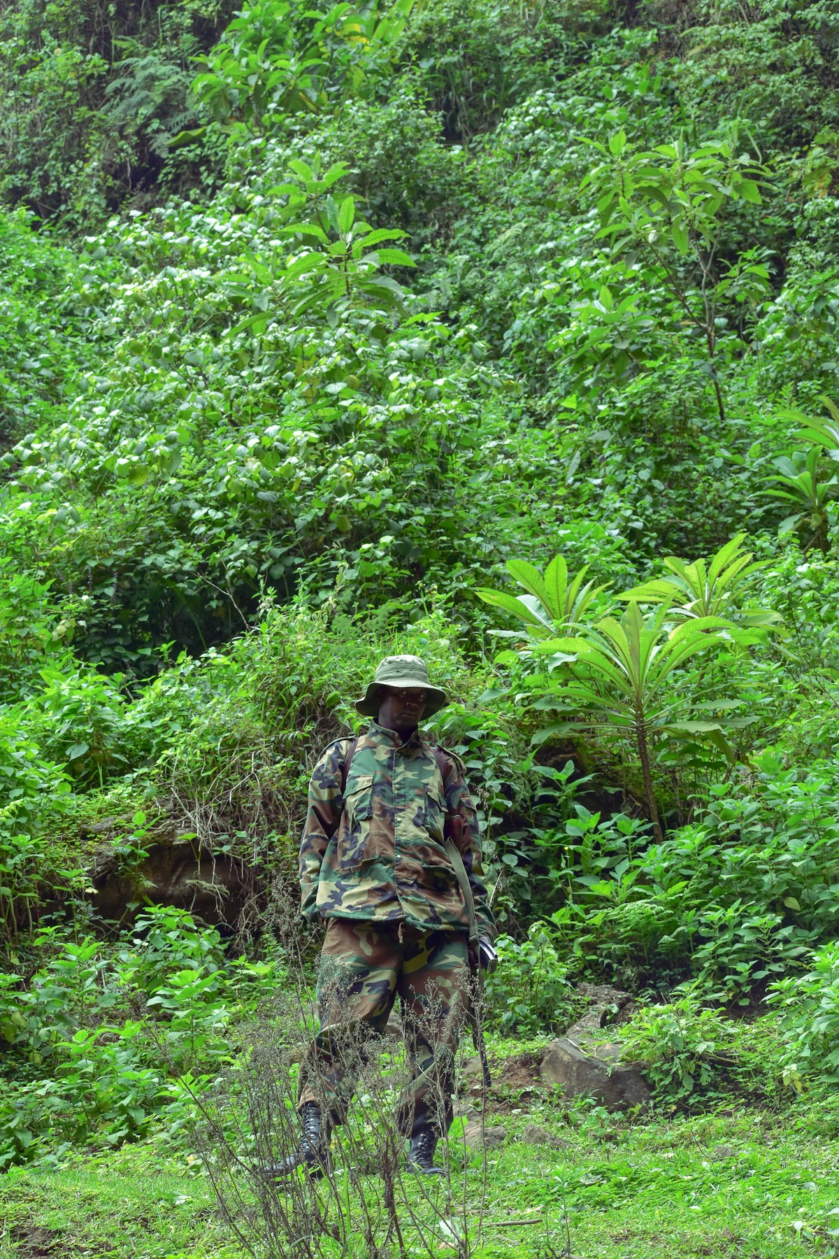 Forest ranger in camouflage patrol uniform amidst dense rainforest vegetation