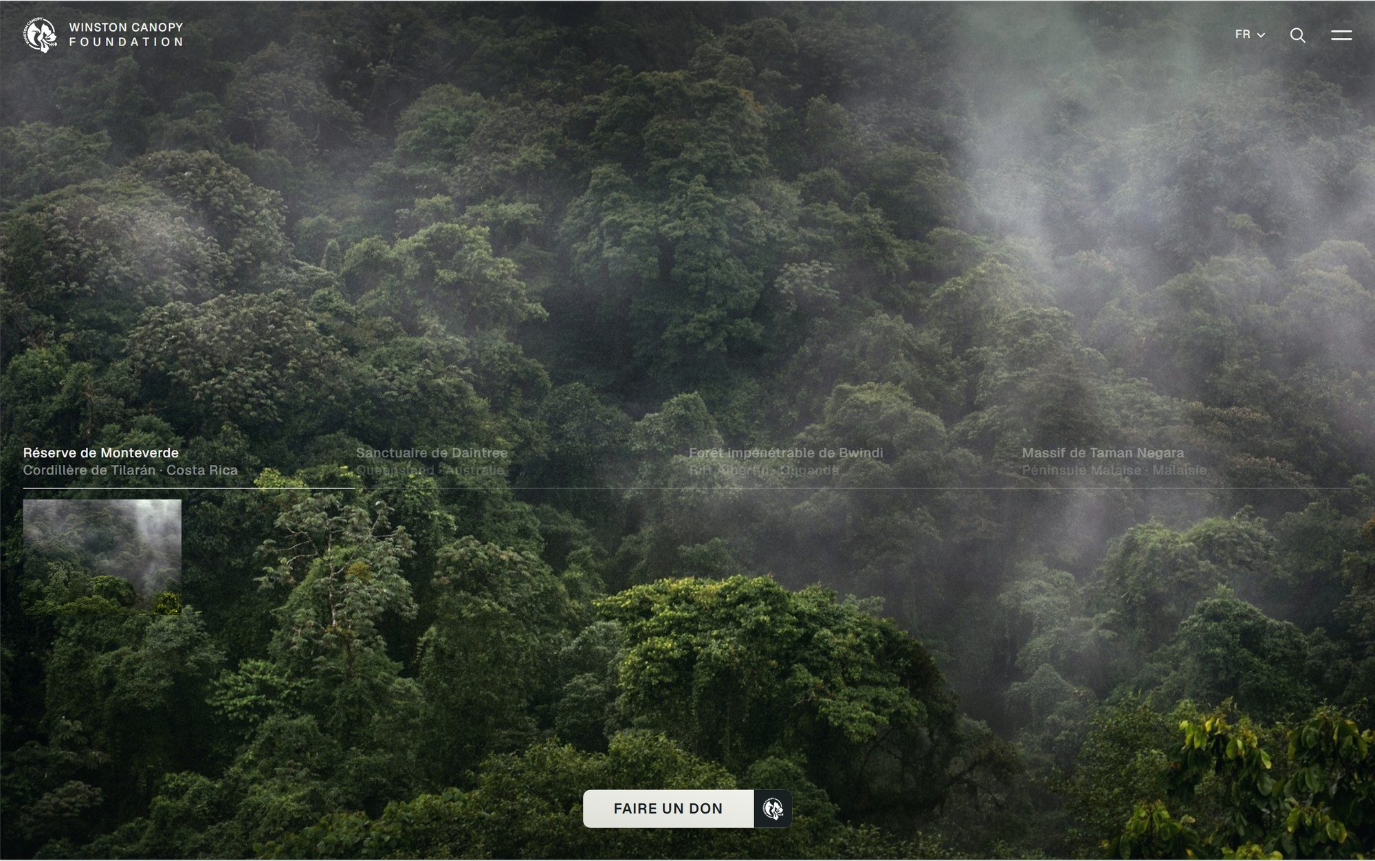 Web design mockup (Winston Canopy Foundation): Homepage of the Winston Canopy Foundation website: its four forest sanctuaries